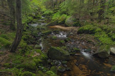 Yaz güzel güneşli bir günde Krusne dağlarında Skrivan deresi