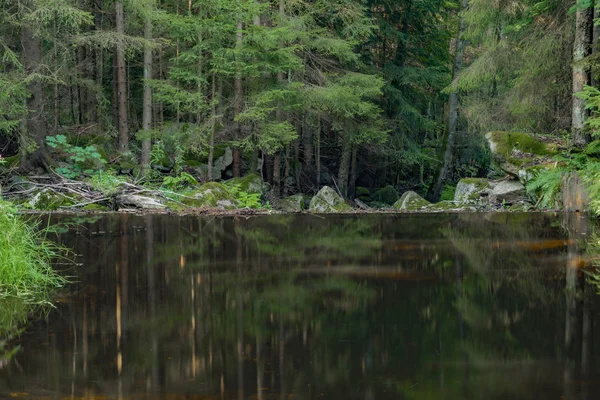 Skrivan Bach im Krusne Gebirge im Sommer schöner sonniger Tag — Stockfoto