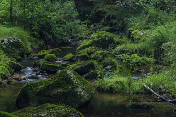 Yaz güzel güneşli bir günde Krusne dağlarında Skrivan deresi