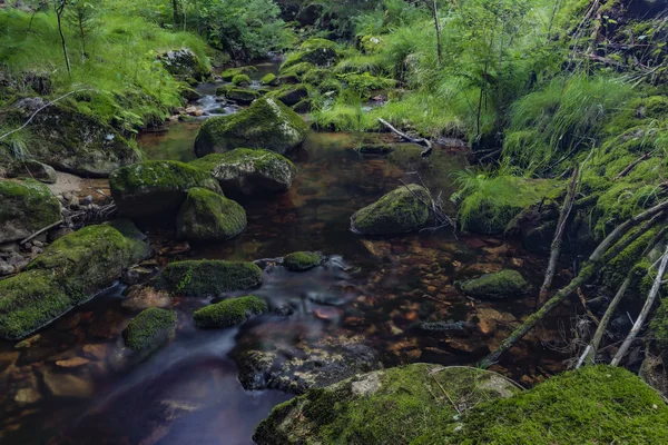 Yaz güzel güneşli bir günde Krusne dağlarında Skrivan deresi