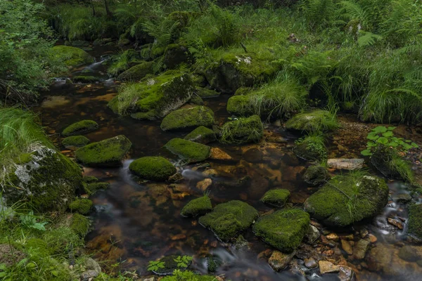 Skrivan Bach im Krusne Gebirge im Sommer schöner sonniger Tag — Stockfoto