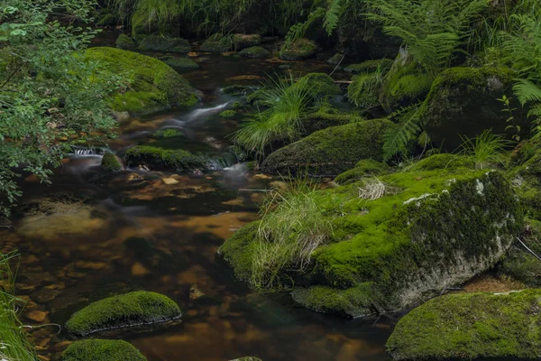 Yaz güzel güneşli bir günde Krusne dağlarında Skrivan deresi