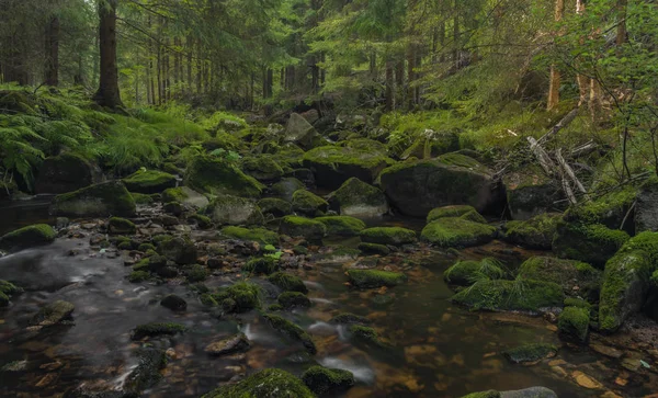 Skrivan Creek i Krusne Mountains på sommaren trevlig solig dag — Stockfoto