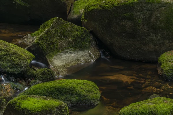 Skrivan Bach im Krusne Gebirge im Sommer schöner sonniger Tag — Stockfoto