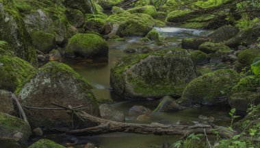 Yaz güzel güneşli bir günde Krusne dağlarında Skrivan deresi