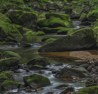 Yaz güzel güneşli bir günde Krusne dağlarında Skrivan deresi