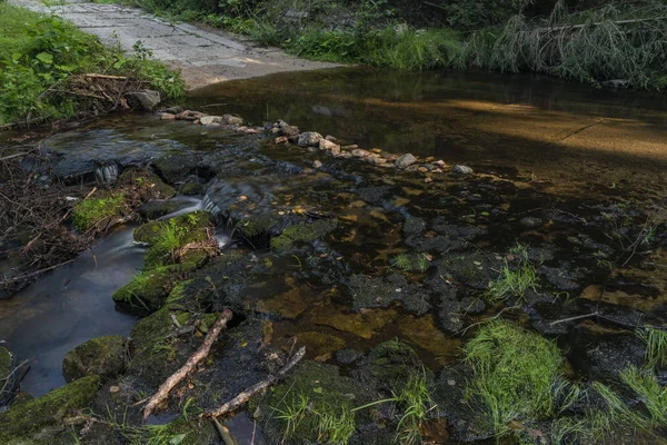Skrivan riacho em Krusne montanhas no verão agradável dia ensolarado — Fotografia de Stock
