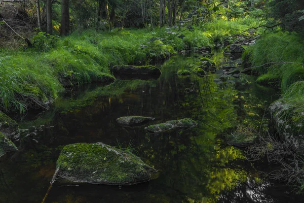 Yaz güzel güneşli bir günde Krusne dağlarında Yeşil Skrivan dere