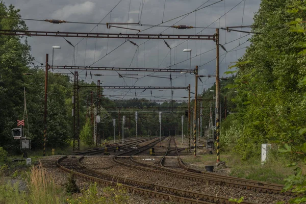 Yaz öğleden sonra batı Bohemya Dasnice istasyonunda Elektrikli demiryolu hattı