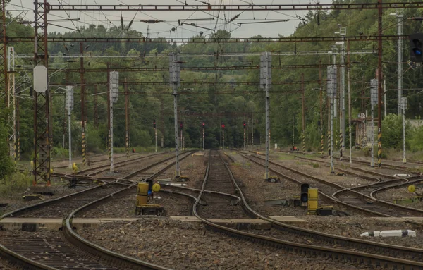 Yaz öğleden sonra batı Bohemya Dasnice istasyonunda Elektrikli demiryolu hattı