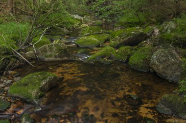 Yaz güzel güneşli bir günde Krusne dağlarında Skrivan deresi