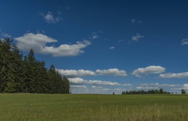 Slavkovsky les milli parkta yaz güneşli öğleden sonra orman ve çayırlar