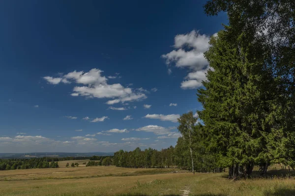여름 더운 날 사라진 마을 Smrkovec 근처 목초지와 목초지 — 스톡 사진