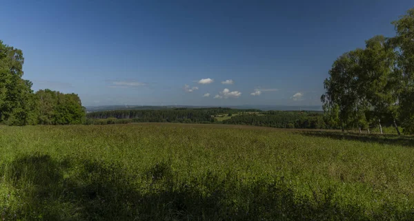 Meadows over Stedra village in Slavkovsky les national park in summer day — Stock Photo, Image