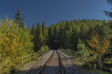 Ulusal park Sumava 'da, rengarenk bir sonbahar sabahı vadide yüksek köprü.