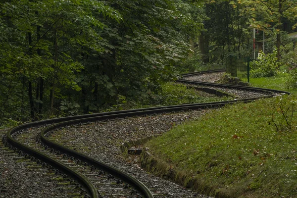 阴雨天黑森林里的窄轨铁路 — 图库照片