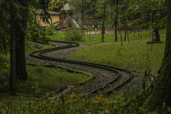 Narrow gauge railway in dark forest in rainy dark day — Stock Photo, Image