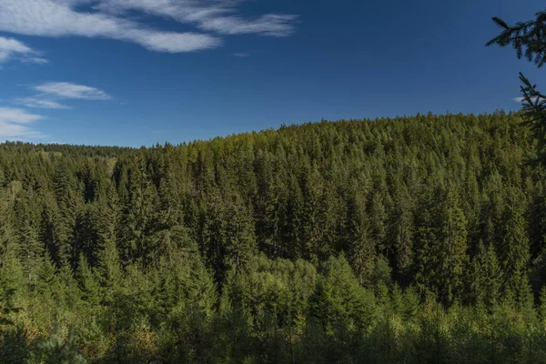 Floresta no parque nacional Sumava em cor outono manhã ensolarada com prados — Fotografia de Stock