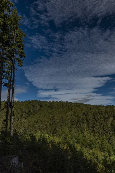국립 공원의 수마바는 가을 햇살 이 잘 드는 아침이며 초원이 펼쳐져 있다 — 스톡 사진