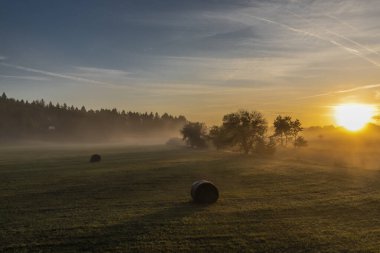 Güney Bohemya 'daki Pisek kasabası yakınlarındaki çayırlarda sisli bir gün doğumu