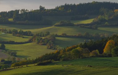 Besiny Köyü yakınlarında gün batımında otlaklar ve çayırlar.