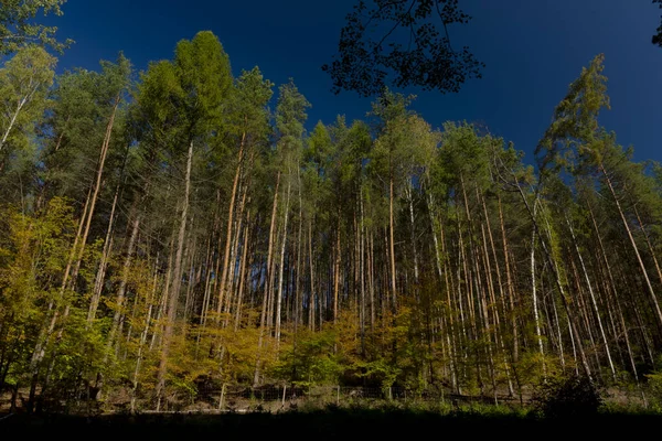 Lasy w dolinie w pobliżu wsi Stare Splavy jesienią kolor słoneczny dzień — Zdjęcie stockowe