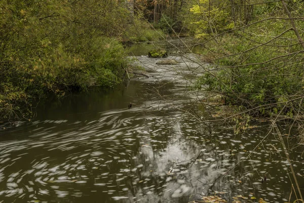 Río Lomnice en Bohemia con arbustos cerca del puente ferroviario cerca del pueblo de Ostrovce — Foto de Stock
