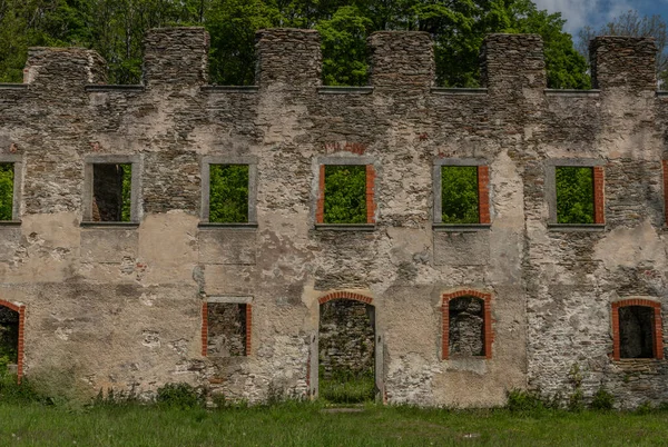 Burgruine Neuberg im Dorf Podhradi in Westböhmen — Stockfoto