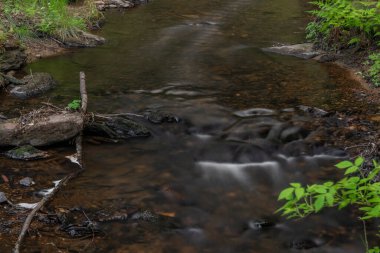 Batı Bohemya 'daki Billy Halstrov deresi ilkbaharda güneşli mavi gökyüzü gününde