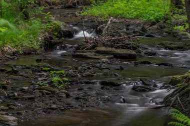 Batı Bohemya 'daki Billy Halstrov deresi ilkbaharda güneşli mavi gökyüzü gününde