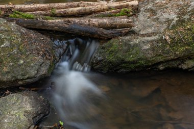Batı Bohemya 'daki Billy Halstrov deresi ilkbaharda güneşli mavi gökyüzü gününde