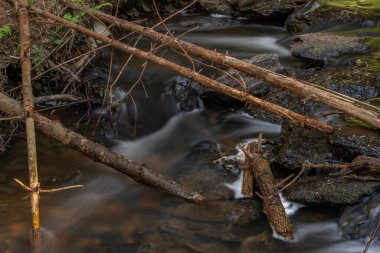 Batı Bohemya 'daki Billy Halstrov deresi ilkbaharda güneşli mavi gökyüzü gününde