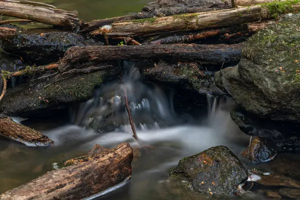 Bily Halstrov Creek West Bohemia Spring Sunny Fresh Blue Sky — Stock Photo, Image