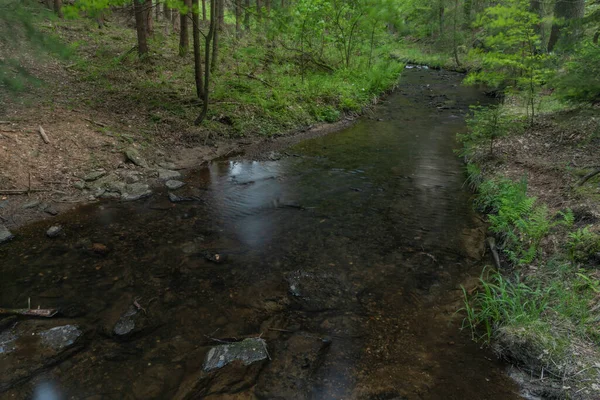 Bily Halstrov Creek Στη Δυτική Βοημία Την Άνοιξη Ηλιόλουστο Φρέσκο — Φωτογραφία Αρχείου