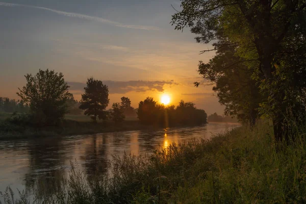 Köd Folyó Dyje Narancssárga Színű Napkelte Közelében Bulhary Falu Dél — Stock Fotó