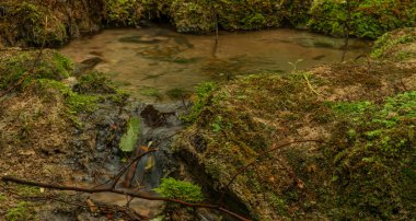 Berounka nehrinin yakınındaki temiz dere ve şelaleli Cisarska vadisi.