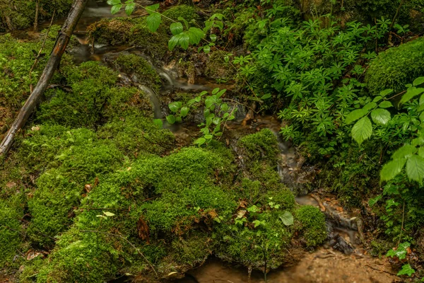 Gola Cisarska Con Torrente Pulito Cascata Vicino Fiume Berounka Primavera — Foto Stock