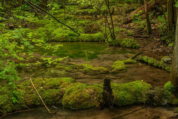 Cisarska gorge with clean creek and waterfall near Berounka river in spring rainy day