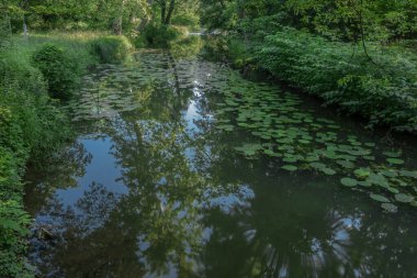 Lednice Şatosu 'nun yanındaki bahçe. Renkli çiçekler ve bahar sabahları taze göller.