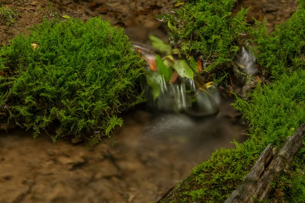 Garganta de Cisarska con arroyo limpio y cascada cerca del río Berounka —  Fotos de Stock