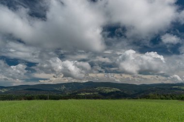 Krkonose milli parkında ve dağlarında mavi gökyüzü ve beyaz bulutlu yeşil çayırlar.