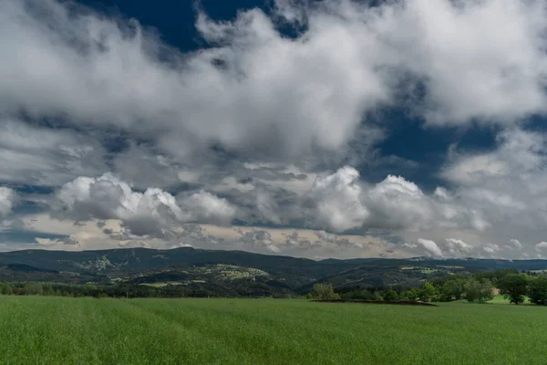 Зеленое Поле Луга Голубым Небом Белыми Облаками Крконосском Национальном Парке — стоковое фото