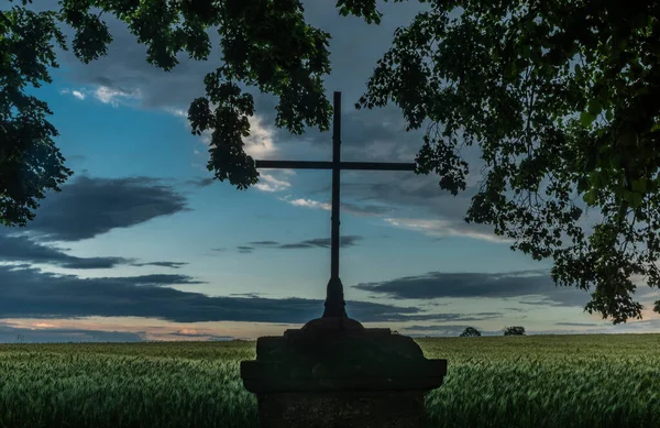 Крест Возле Дороги Зеленое Зерновое Поле Крконосском Национальном Парке Летний — стоковое фото
