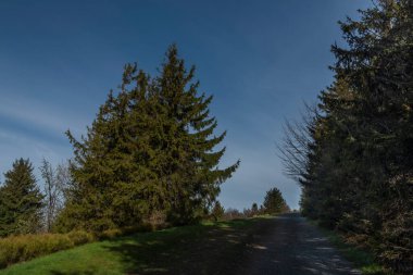 Beskydy 'deki Pustevny' nin bahar sabahı manzarası