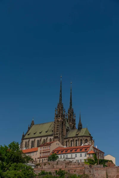 Catedral Brno Ciudad Sur Moravia Región Cielo Azul Soleado Día — Foto de Stock