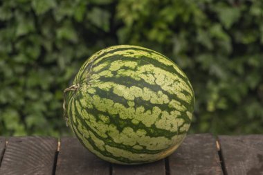 Büyük kırmızı kavun, kahverengi ahşap masada sıcak yaz yeşil bahçesinde