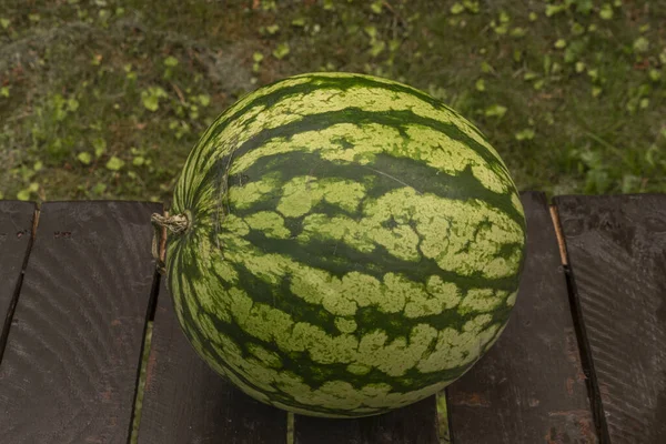 Grand Melon Doux Rouge Sur Table Bois Brun Dans Jardin — Photo