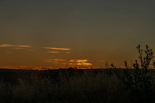 Der Mitte Des Trockenen Feldes Bei Sonnenuntergang Farbe Abend Der — Stockfoto