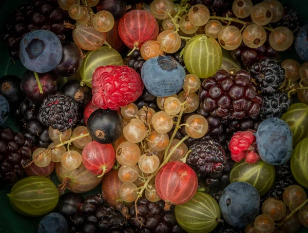 Μικτή Χρώμα Φρούτων Στον Κήπο Ξύλινο Καφέ Τραπέζι Και Πορτοκαλί — Φωτογραφία Αρχείου