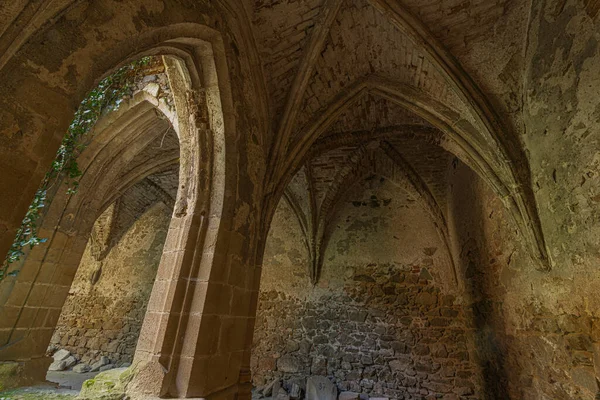 Ruine Ancien Monastère Dans Village Dolni Kounice Milieu Une Chaude — Photo